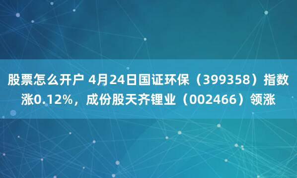 股票怎么开户 4月24日国证环保（399358）指数涨0.12%，成份股天齐锂业（002466）领涨