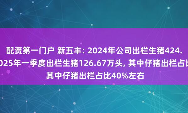 配资第一门户 新五丰: 2024年公司出栏生猪424.87万头, 2025年一季度出栏生猪126.67万头, 其中仔猪出栏占比40%左右